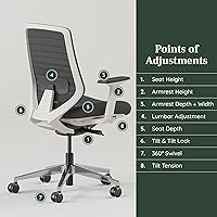 Vista 5 de Branch Ergonomic Chair - A Versatile Desk Chair with Adjustable Lumbar Support, Breathable Mesh Backrest, and Smooth Wheels - Experience Optimal