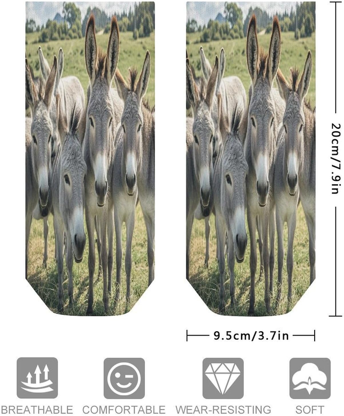 Donkey Animals Ankle Sock-Low Cut Breathable,Basketball Socks for Men Women,Tube Socks for Work Sports