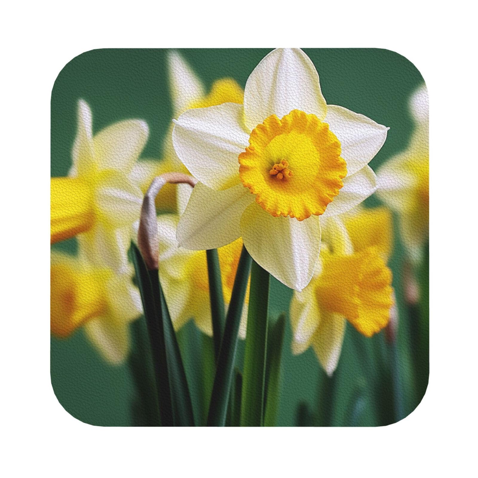 Fodpand Square Daffodil Flower Drink Coasters Set Of 4, Heat Resistant Leather Coasters Fuuny Bar Beer Beverage Coaster For Drinks, Absorbent Cup Mat For Tabletop Protection, Housewarming Gift