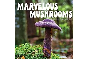 Marvelous Mushrooms: 2024 Wall Calendar