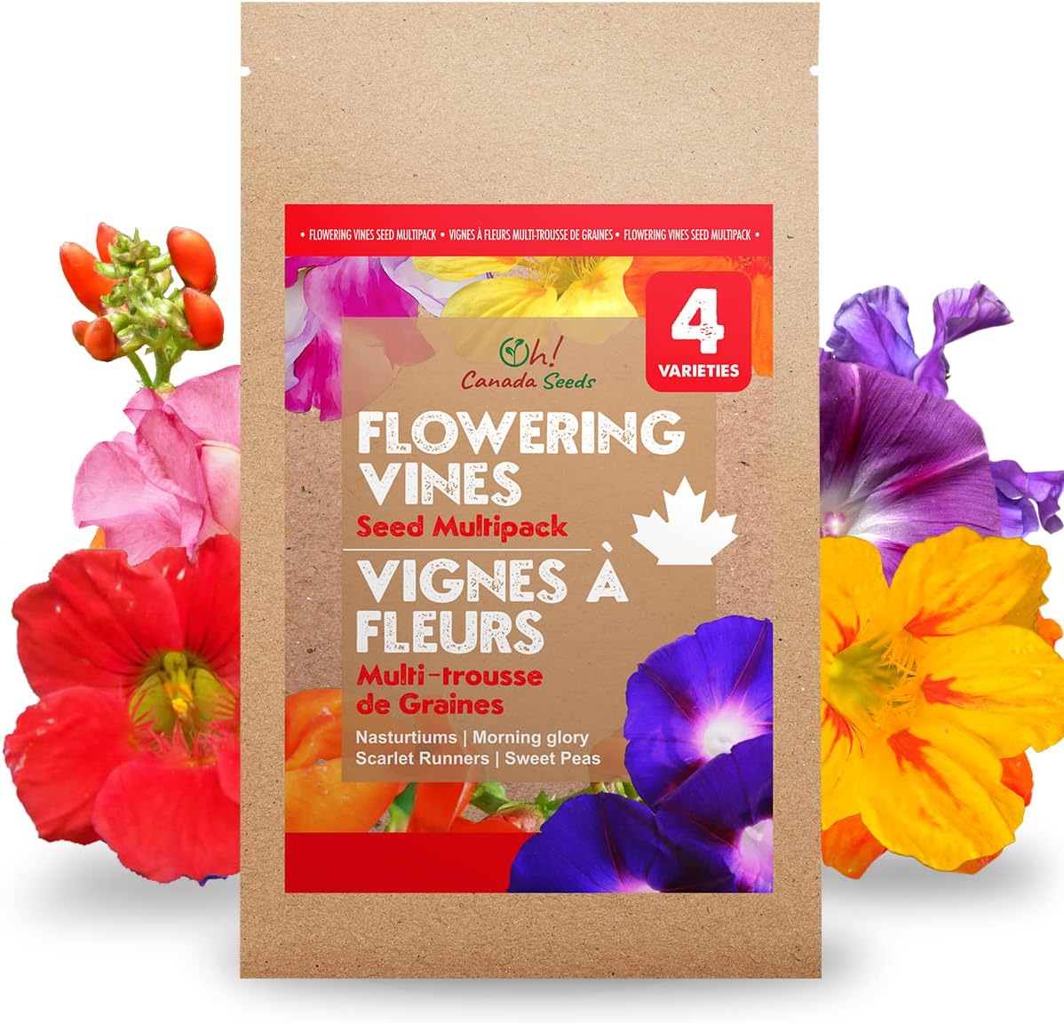 Climbing Flower Seeds Morning Glory, Scarlet Runner, Sweet Pea