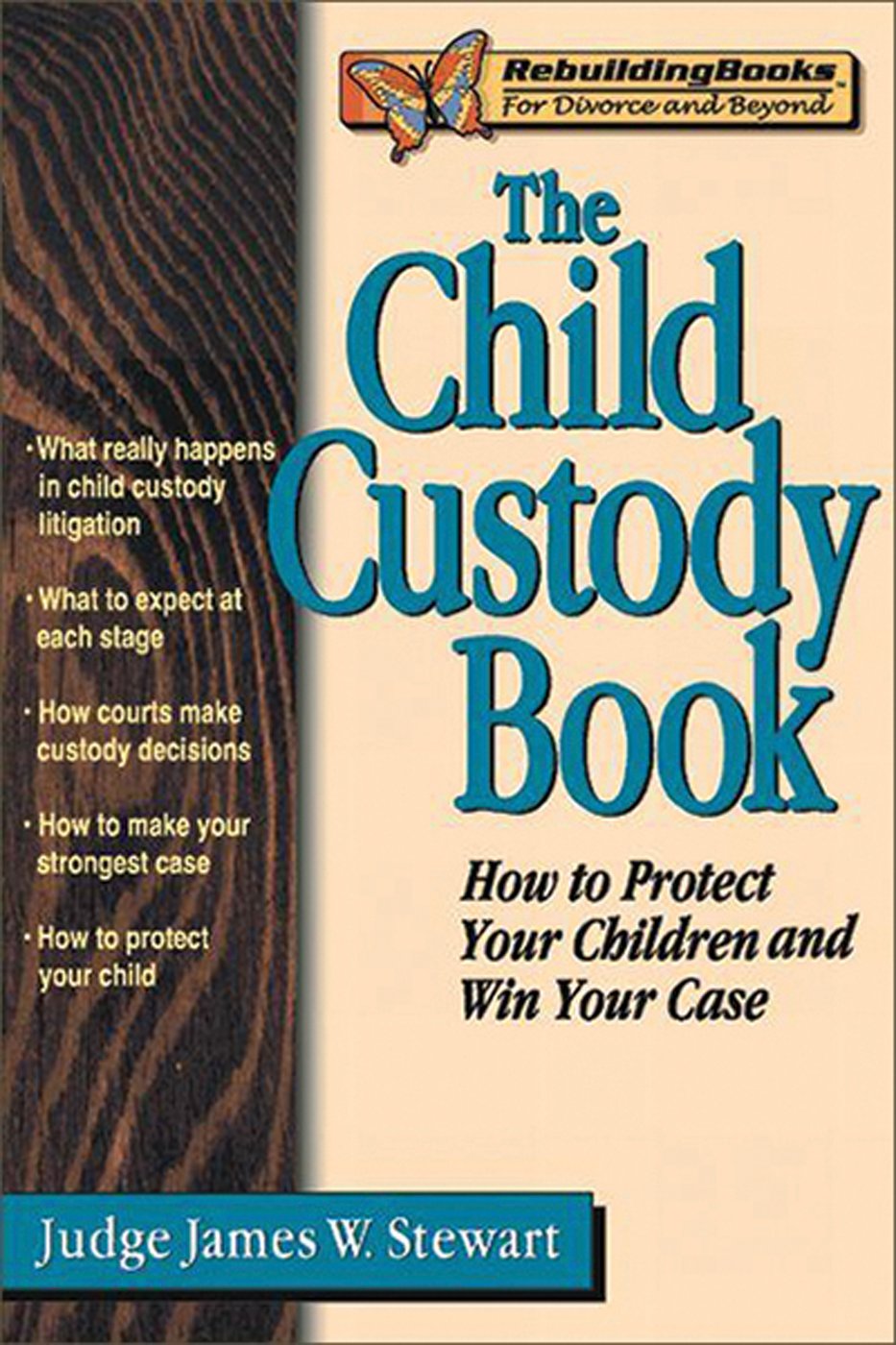 Buy The Child Custody Book How to Protect Your Children and Win Your