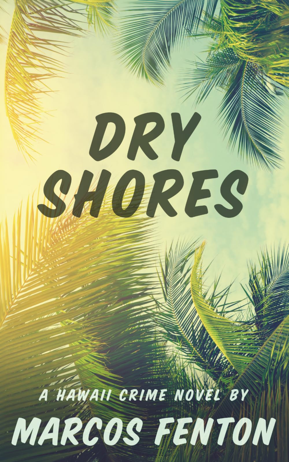 Dry Shores: A Hawaii Crime Novel