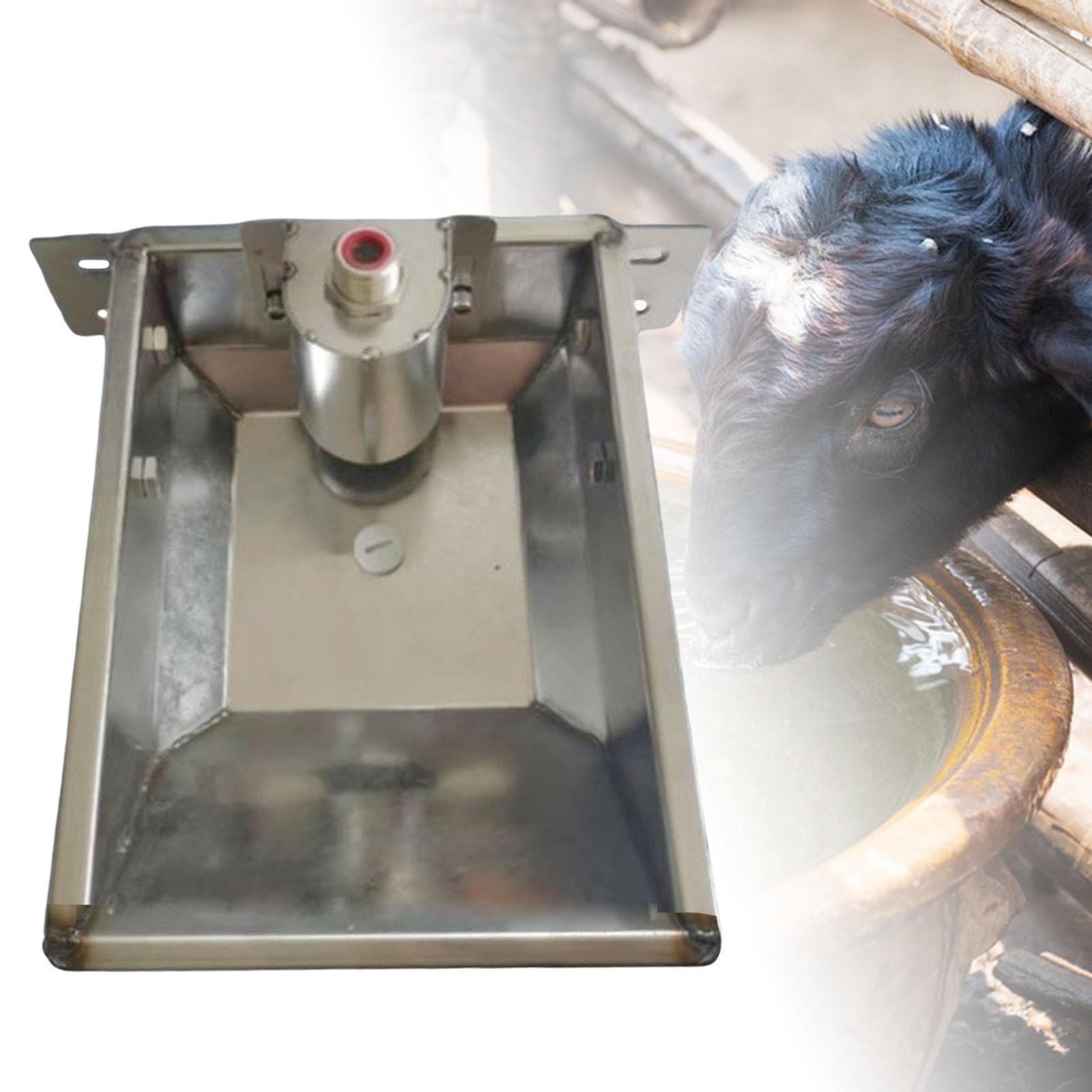 Abreuvoir Automatique pour Animaux, Abreuvoir pour Bétail Distributeur d'eau en Acier Inoxydable, pour Aux Chiens Et Chèvres, Moutons, M 31cmx26cm