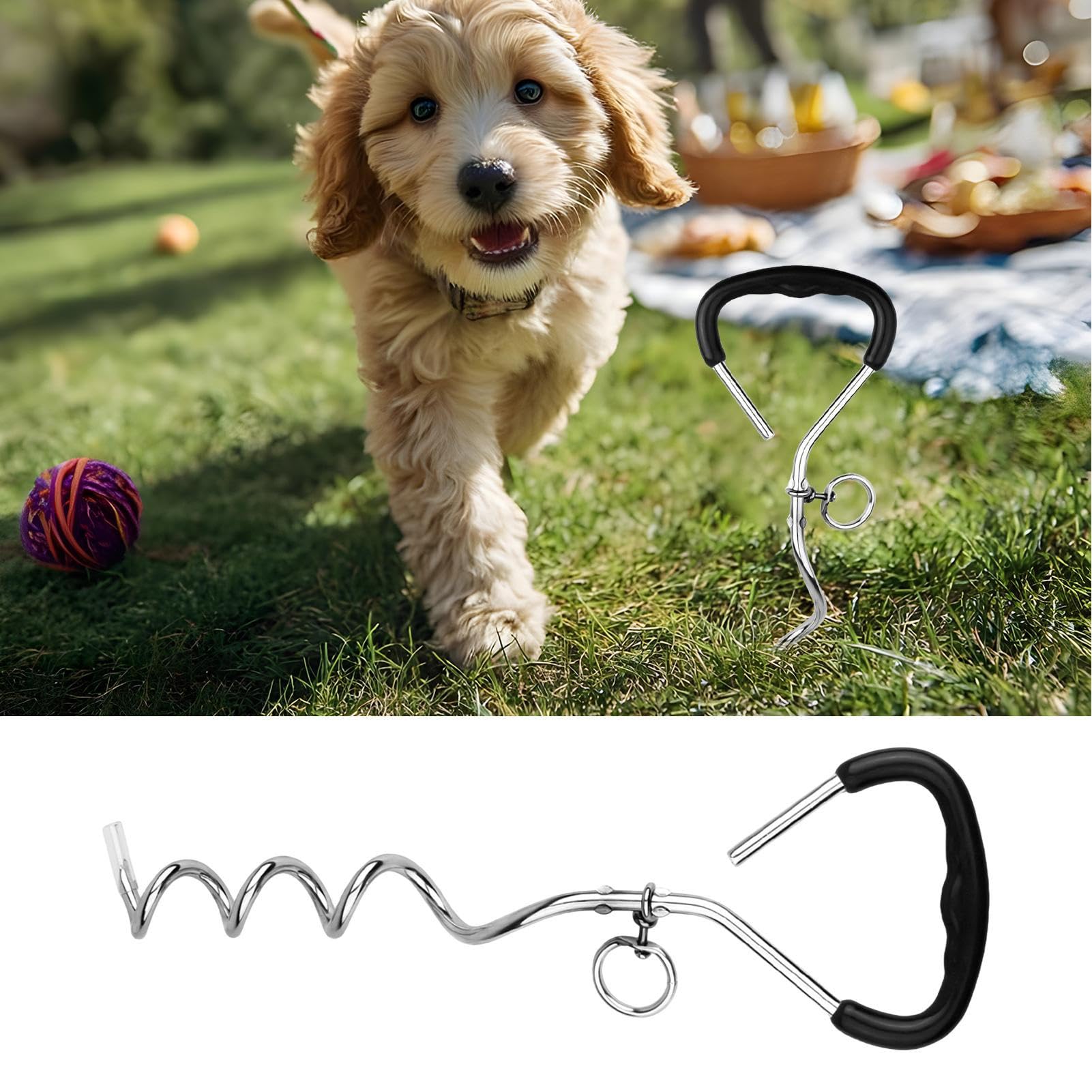 Picchetti per cani per terra, picchetti per legare cani, picchetti per legare i cani, resistenti e a prova di torsione, da attaccare al cavo e per campeggio, sfondo, cortile, spiaggia