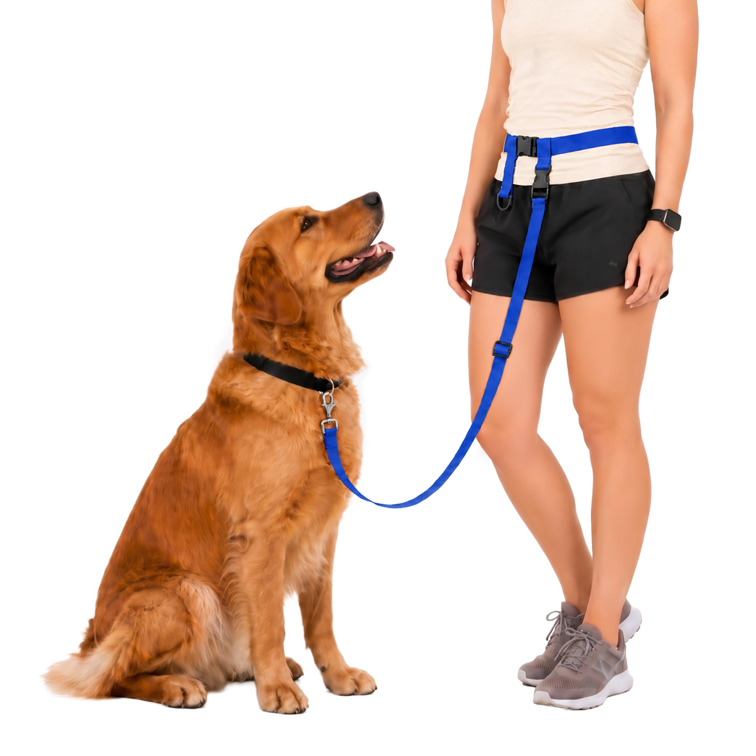 Le système de Buddy – Réglable Laisse les mains libres – Idéal pour la course à pied – pour chien standard