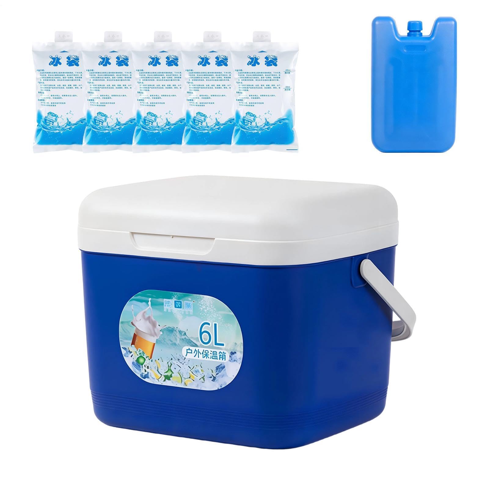 Termica 6L Box Isolato A Tenuta Stagna