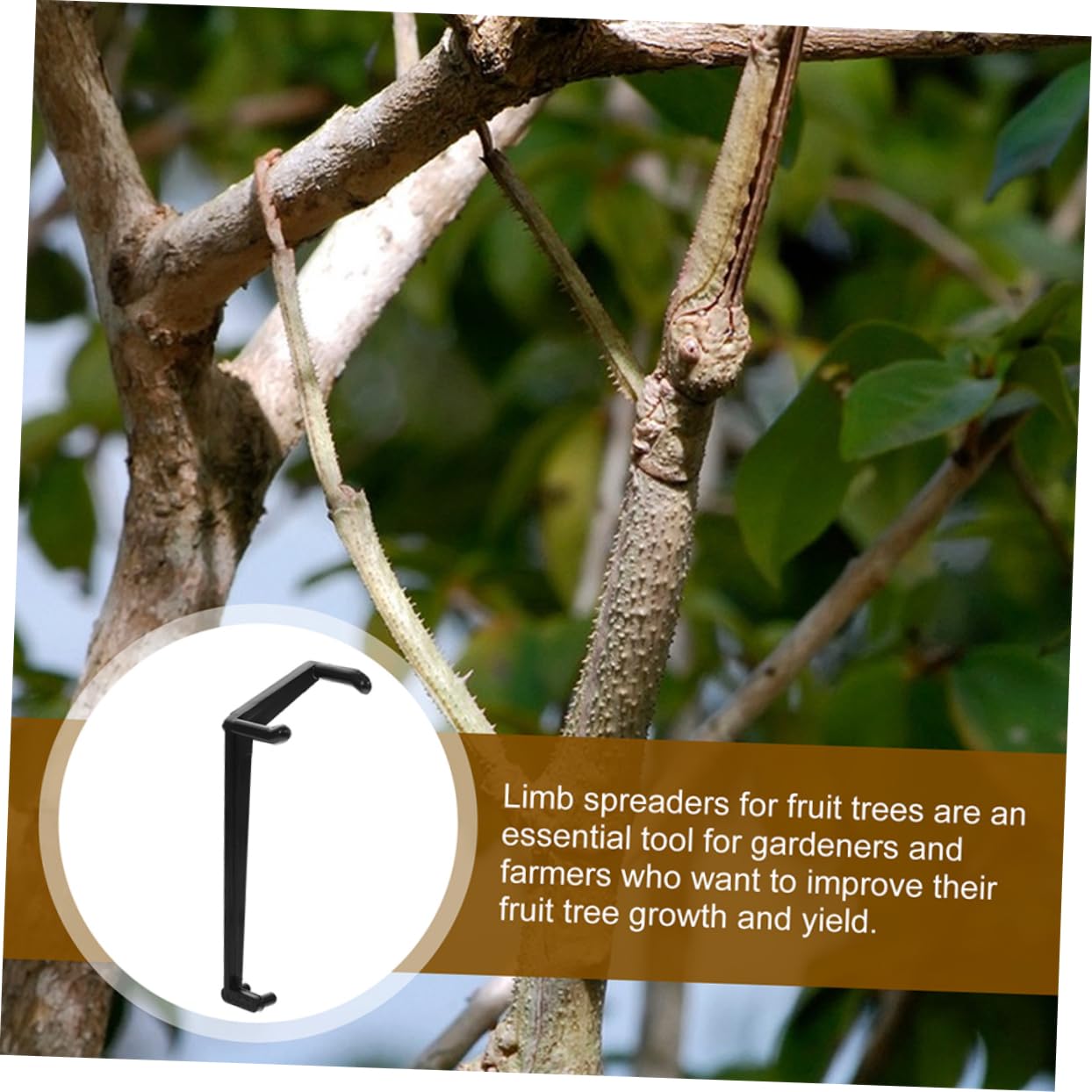 50pezzi Spreader per Rami Plastica per Alberi da Frutto Utensili per Giardinaggio Supporto per Crescita e Forma dei Rami Accessori per Giardiniere Professionista e Hobbista