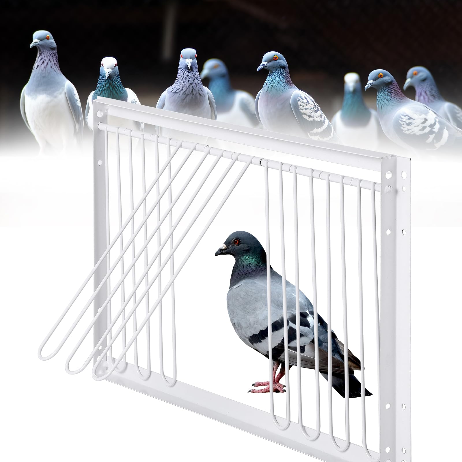 Vogelkäfigtür 40 cm für Taubeneingang Nur Einwege-Eingang Dachboden Aktiv Vogelkäfig Vögel Fenster Vogelstalltür für Renntauben Tauben Papageien
