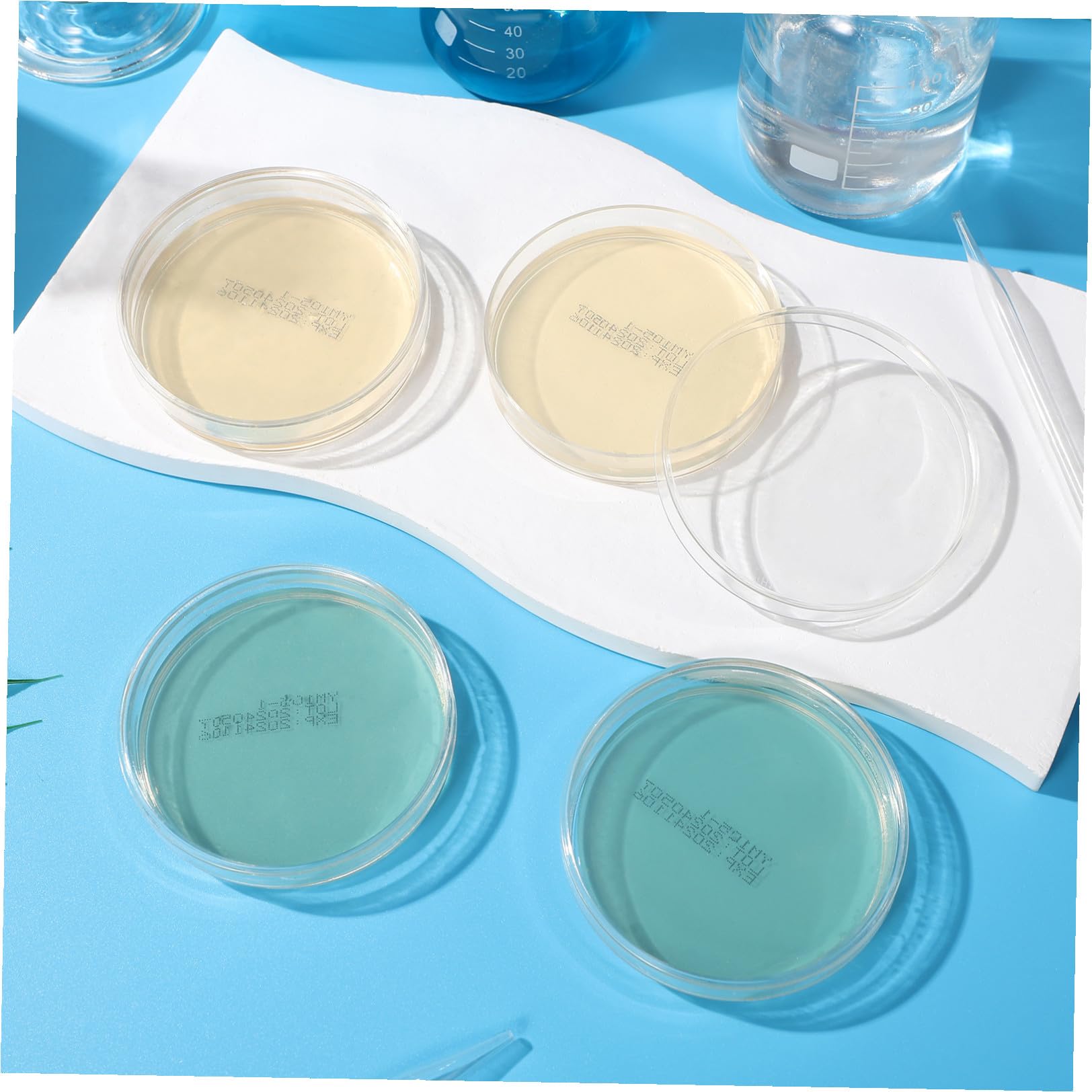 Placas de Agar Nutritivo 7cm, 10 Piezas, Cultivo Listo para Laboratorio | Suministros para Experimentos de Microbiología, Placa de Petri de Agar, Decoracion Colegio