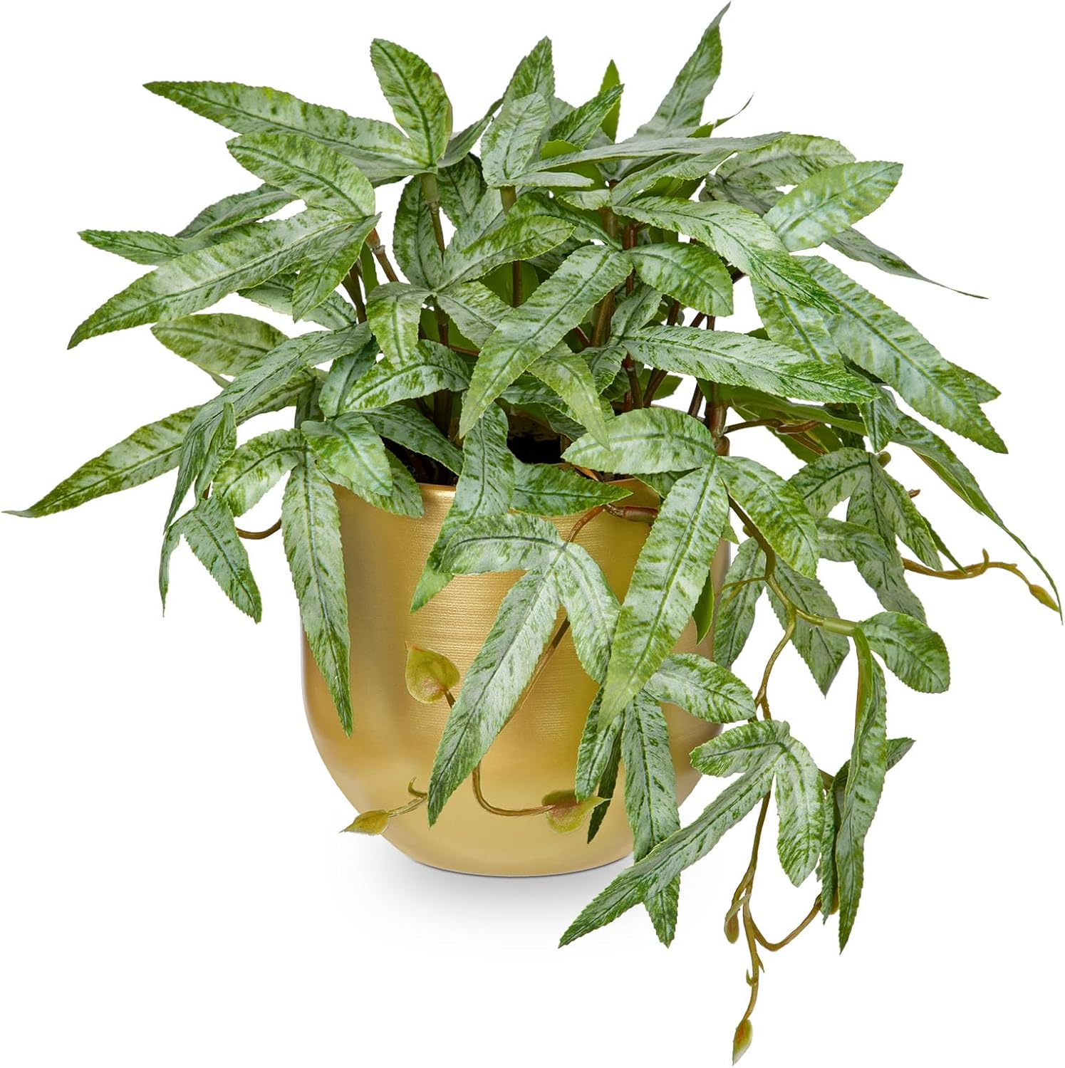 Briful Faux Plants Indoor 9'' Artificial Potted House Plant with Black Ceramic Pot Fake Pteris Cretica Fern Plant for Home Office Room Desk Shelf Decor Indoor