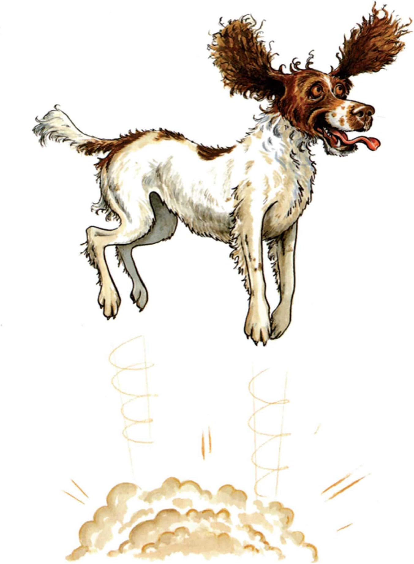 Springer Spaniel Greeting Card by Bryn Parry