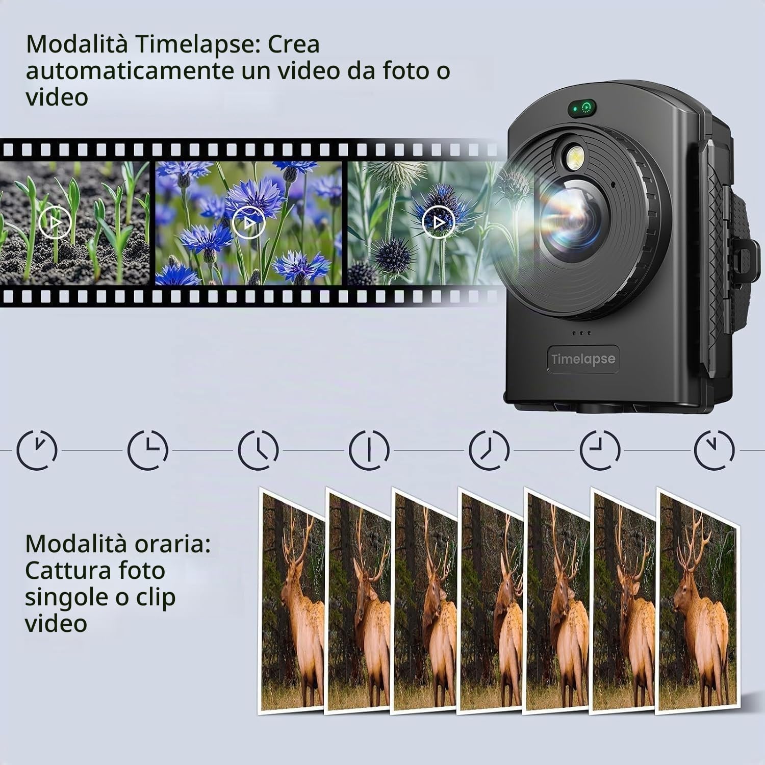 Fotocamera Time Lapse con Posizionamento Infrarosso e Luce LED, 180 Giorni di Riprese, Video e Foto 1080P AVI per Costruzione Outdoor，Crescita Delle Piante, Disegno, Paesaggio (Scheda TF 64GB)