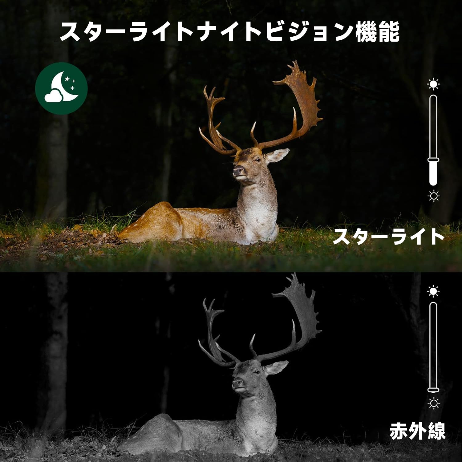 Amazon.co.jp: WiFiトレイルカメラ ソーラー、デュアルレンズ