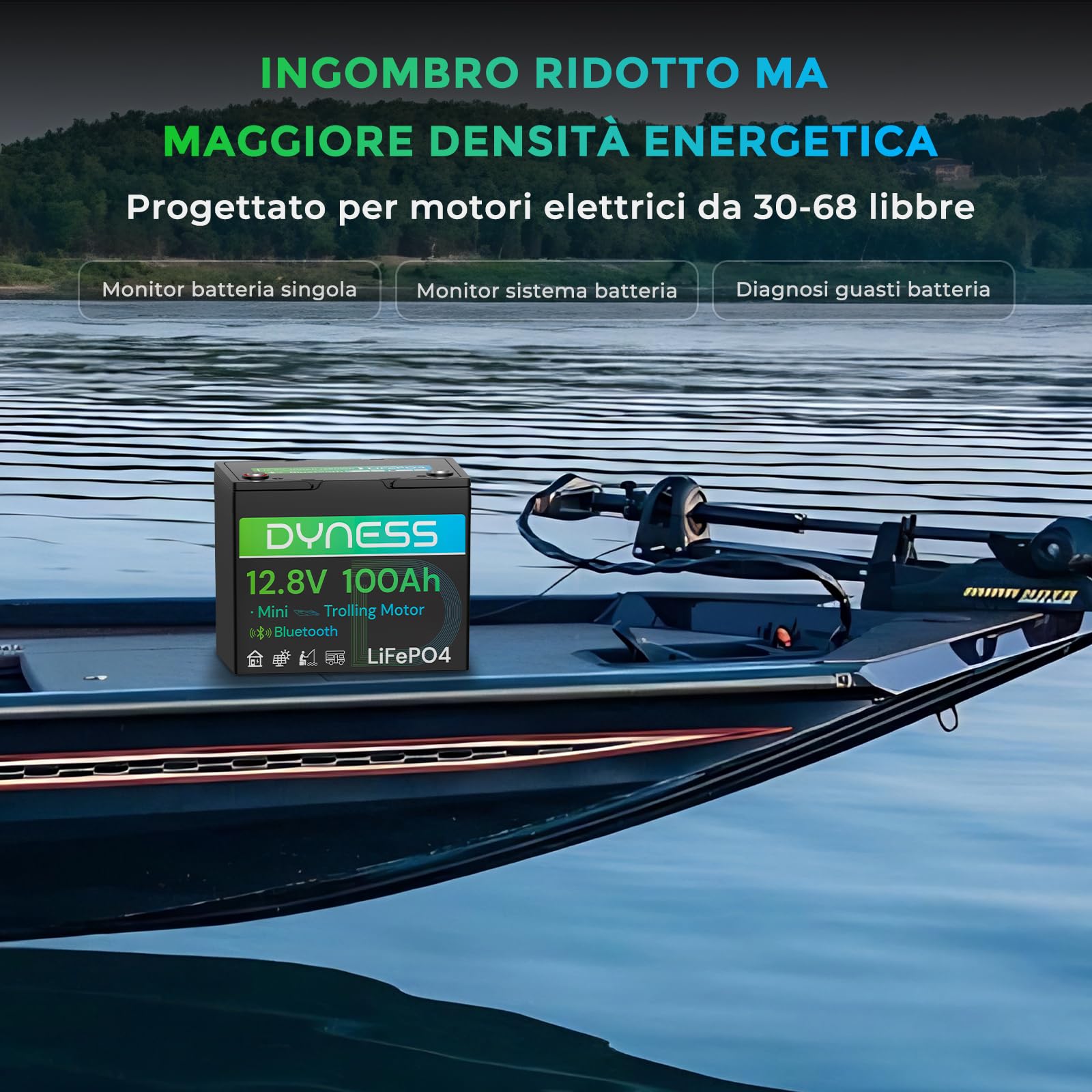 Dyness Batteria LiFePO4 12V 100Ah Bluetooth, Mini Batteria al Litio con BMS 100A, Protezione a Basse Temperature, per Nautica, Camper, Impianti Solari off-grid