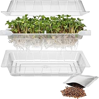 Browin 745748 Plateau de Germes + Graines de Radis, Kit Complet pour Faire Pousser des Germes à la Maison Transparent 18,5 x 12,5 cm