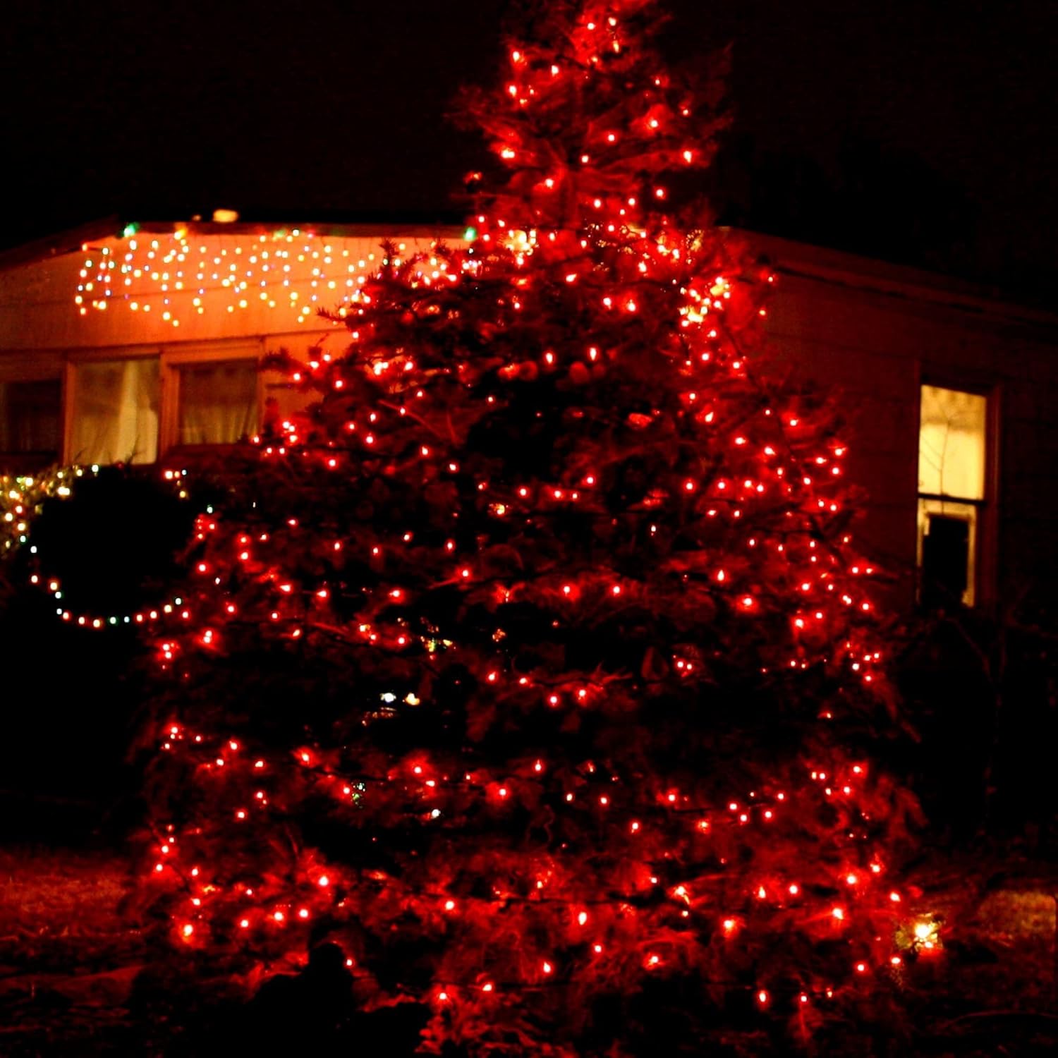 TW SHINE Christmas String Lights, 20FT 100 Count Incandescent White Wire Christmas Mini Lights, Waterproof Xmas String Lights for Outdoor Indoor Home Party Yard Decorations, Red - Image 5