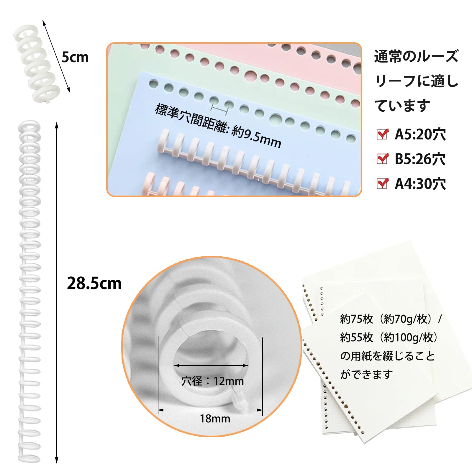 Amazon.co.jp: EUSTACE 10個セット 6穴 30穴 ルーズリーフ