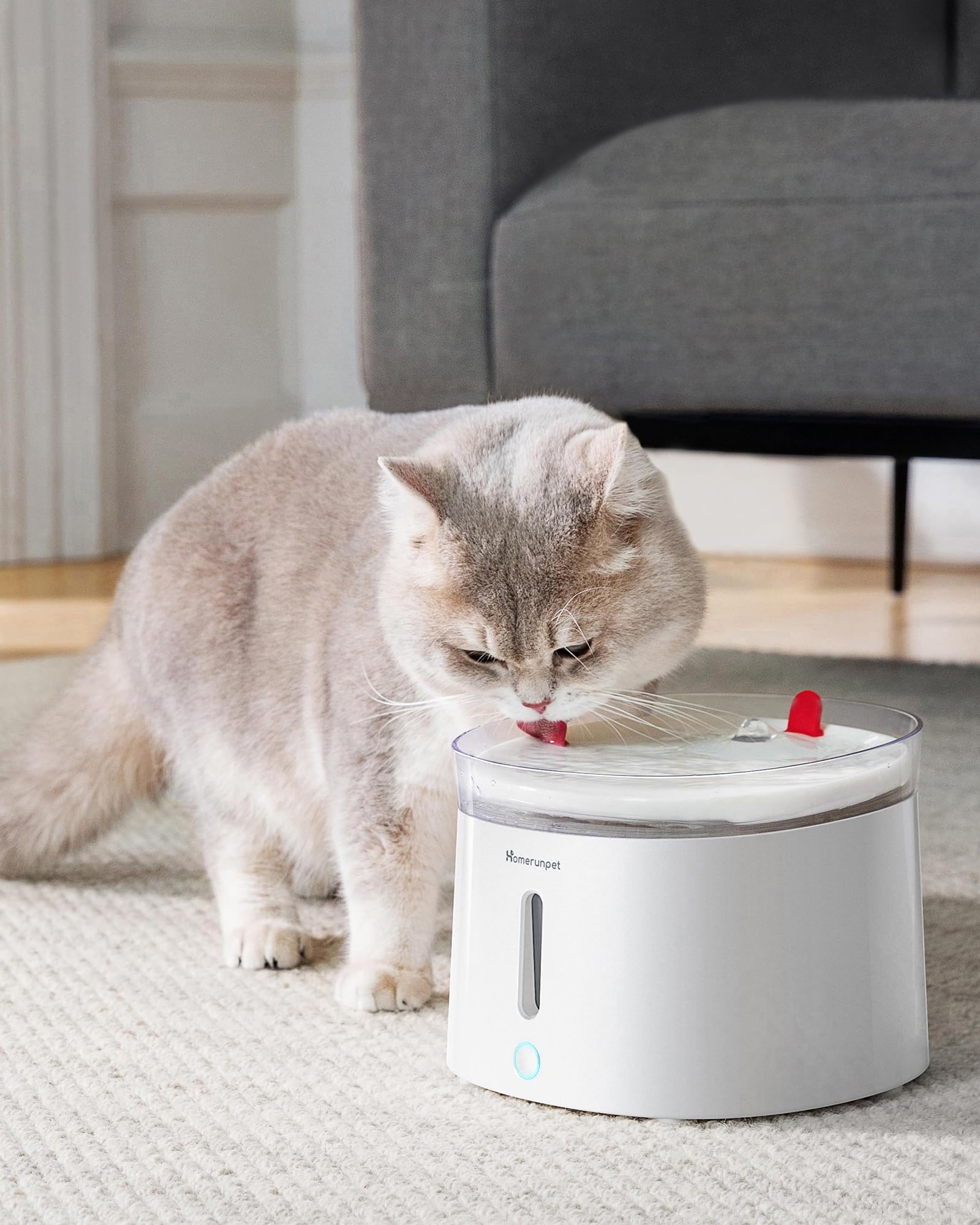 Homerunpet Cat Water Fountain Porcelain-Tray, Wireless Self-Cleaning Pump, Ultra Quiet 20dB Pet Water Dispenser for Cats and Dogs, Easy-to-Clean 2L/68oz with Smart LED and 4-Stage Filtration - image 6