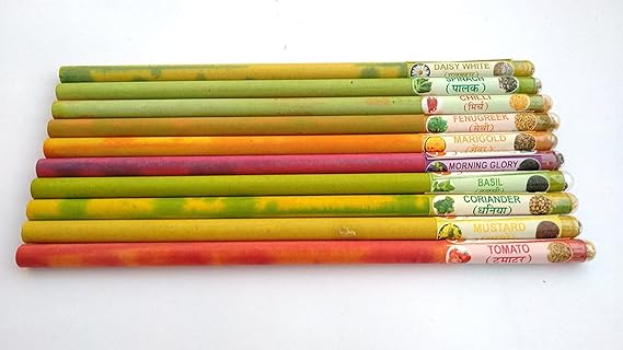 JAZLOG 2B Environment Friendly Plantable Pencil By Fabsouktm With Seeds (Pack Of 6) With Box, Pots Not Included Pack of 1