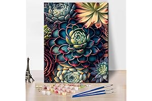 Succulents Paint by Numbers for Adults: Unleash Your Inner Artist with TUMOVO's DIY Painting Kit