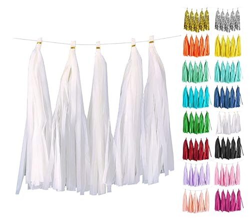 White Tassel Garland 20 Pcs, Tissue Paper Tassels Garland Banner