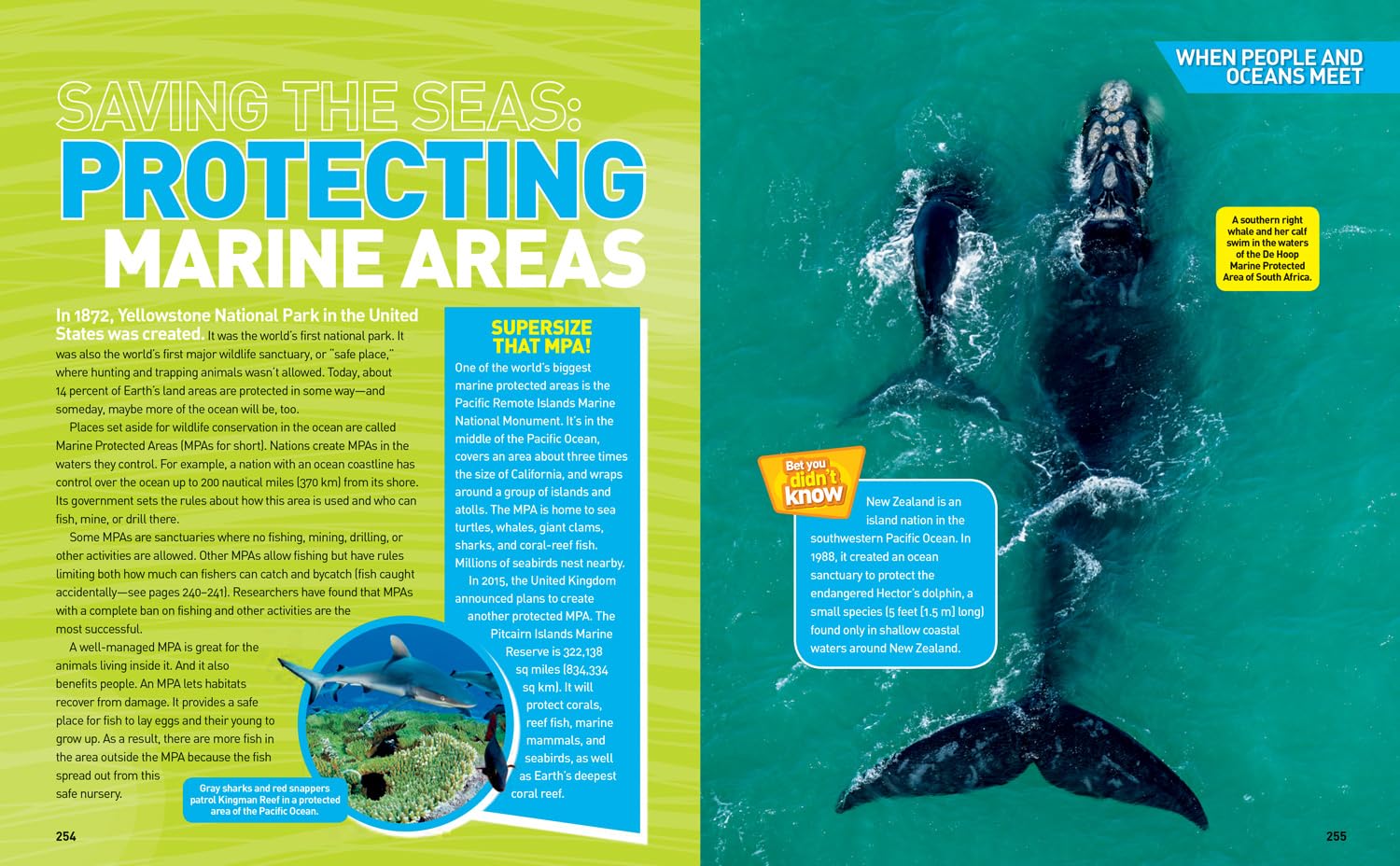 Ultimate Ocean-pedia: The fact-packed ocean encyclopedia (National Geographic Kids)