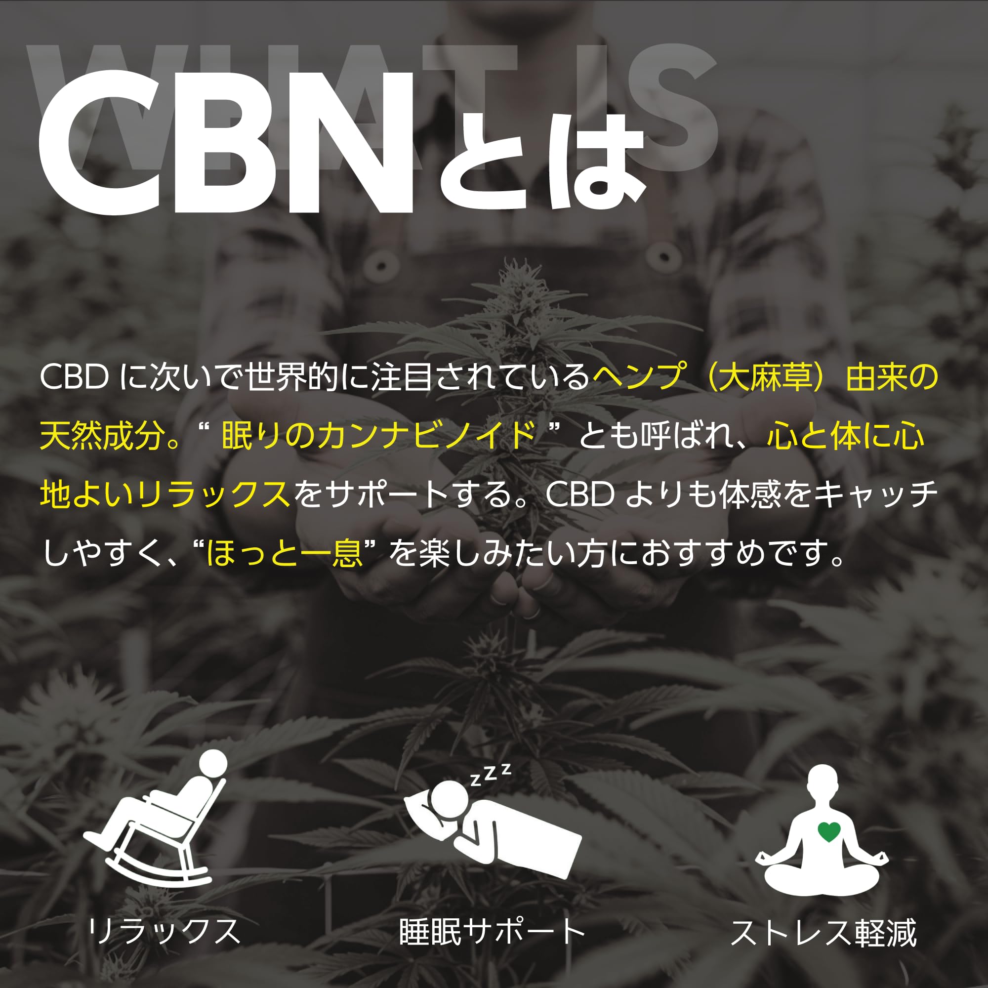 Amazon.co.jp: Drowse CBNジョイント CBN600mg プリロール 3本