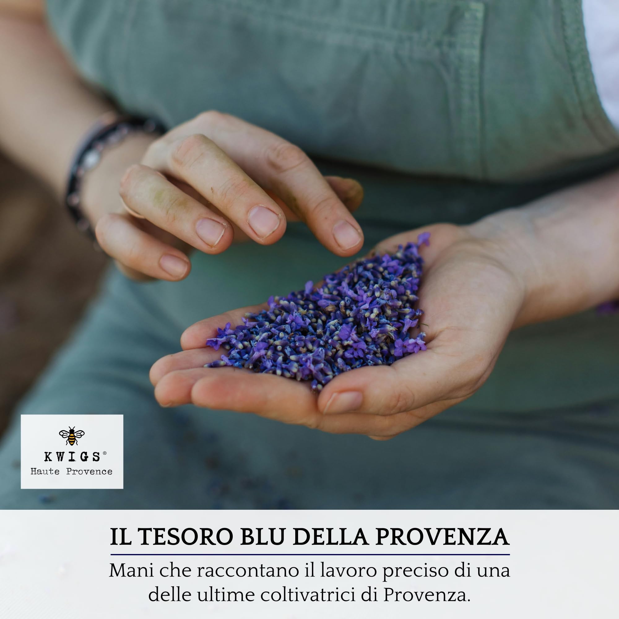 Sacchetto di lavanda in iuta foderata – 12 sacchetti color lavanda senza OGM riempiti a mano – piccola borsa per armadi, biancheria, armadio – fiori di alta Provenza – nuova raccolta
