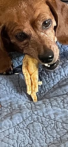 Miniatura 4 de 4 patas de pollo deshidratadas para perros y mascotas (paquete de 20) Declawed No Nails Hecho en EE. UU. 100% natural de un solo ingrediente.