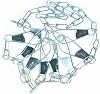 Eagle Claw STCH-9 Chain Stringer
