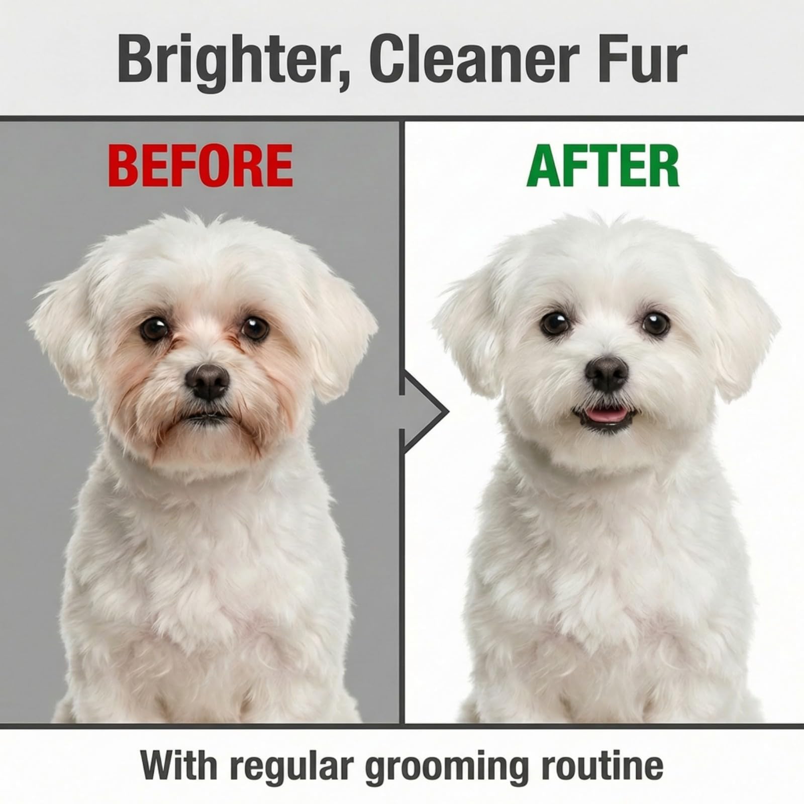 Pet Facial Grooming Kit for Dogs & Cats – Natural Fur Balm & Grooming Tools – Gentle Grooming Set for Maltese, Shih Tzu, Poodles & Cats (black, 4in1) - 5