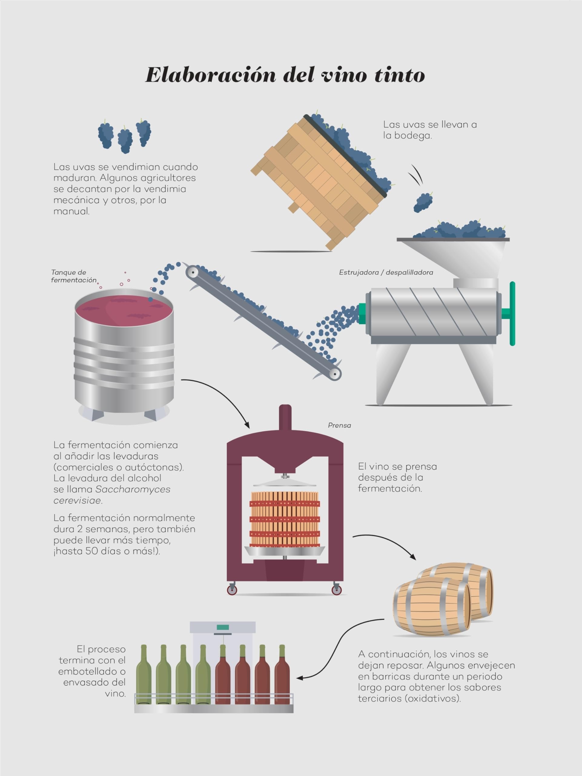 Wine Folly: Edición Magnum: La guía maestra del vino (ESP): 4 (Los ilustrados), Spanish