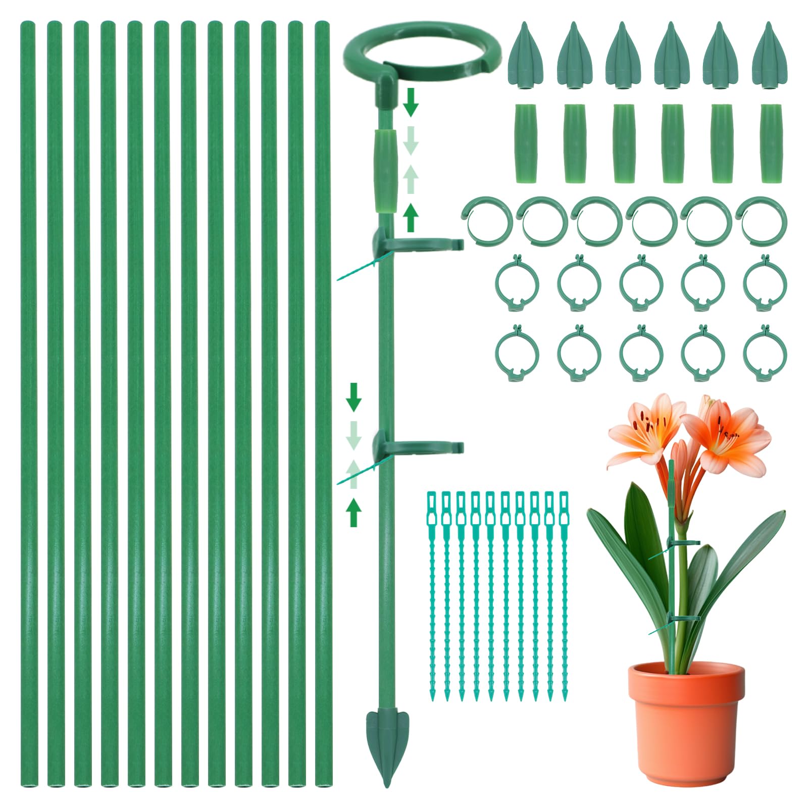 lafo Adjustable Plant Support Stakes Kit for Indoor Outdoor Plants,12 Stackable Garden Stakes（30cm ）with Butterfly Ground Pegs, P-Elbows, Connectors, Clips Plant Ties for Climbing, Tomatoes, Monstera