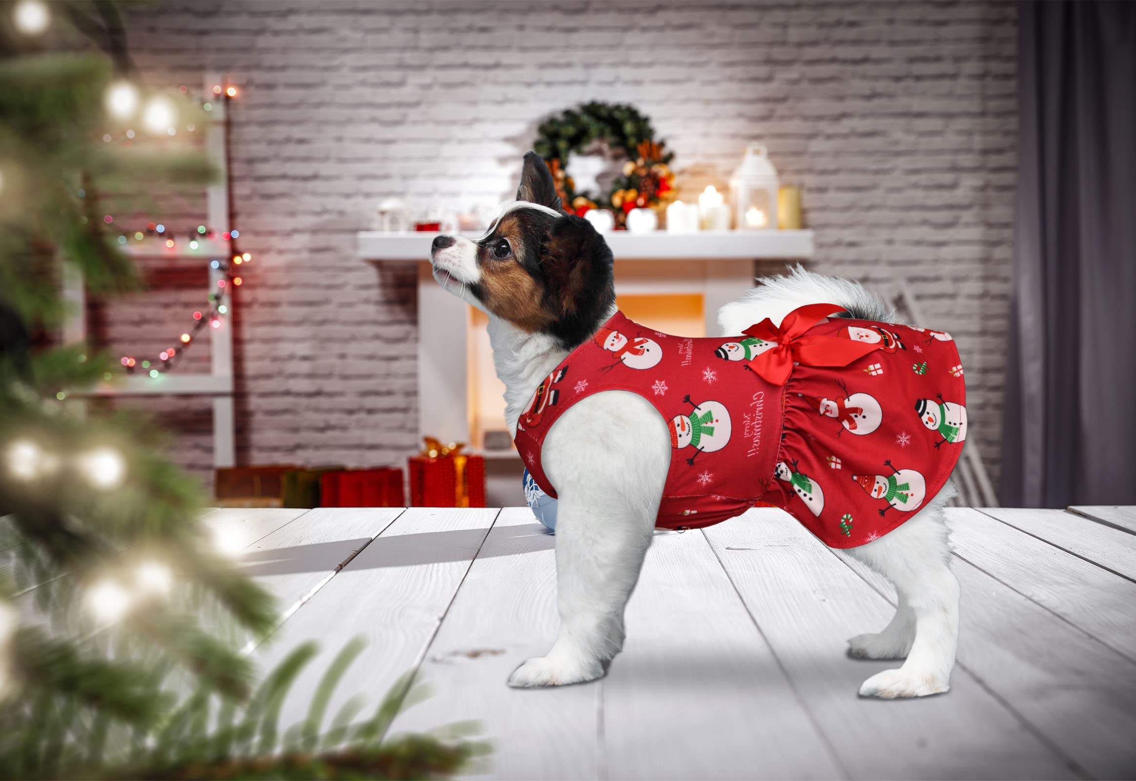 Amazon.com : Dog Christmas Dress Dog Christmas Costumes Girl Snowman  Stretchy Pet Dress Funny Pet Costumes Puppy Clothes with Bowtie Outfit for  Small Dogs Cats Puppy(L) : Pet Supplies