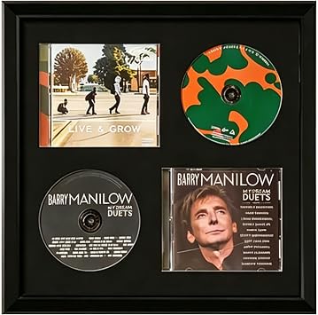 Wooden Music Album CD Frame,Wall Double DVD and 2 Covers Display Case,