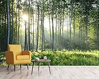 Vista 98 de Papel tapiz tropical de hojas de plátano verde, murales de plantas para dormitorio y sala de estar (no es autoadhesivo)