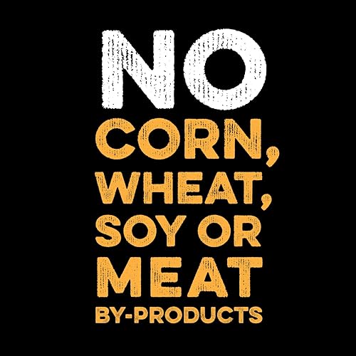 Miniatura 9 de NATIVE Alimento para perros Performance | Fórmula de harina de pollo y arroz | Sin relleno ni bi-productos | Nivel de energía elevado 3 | Bolsa de