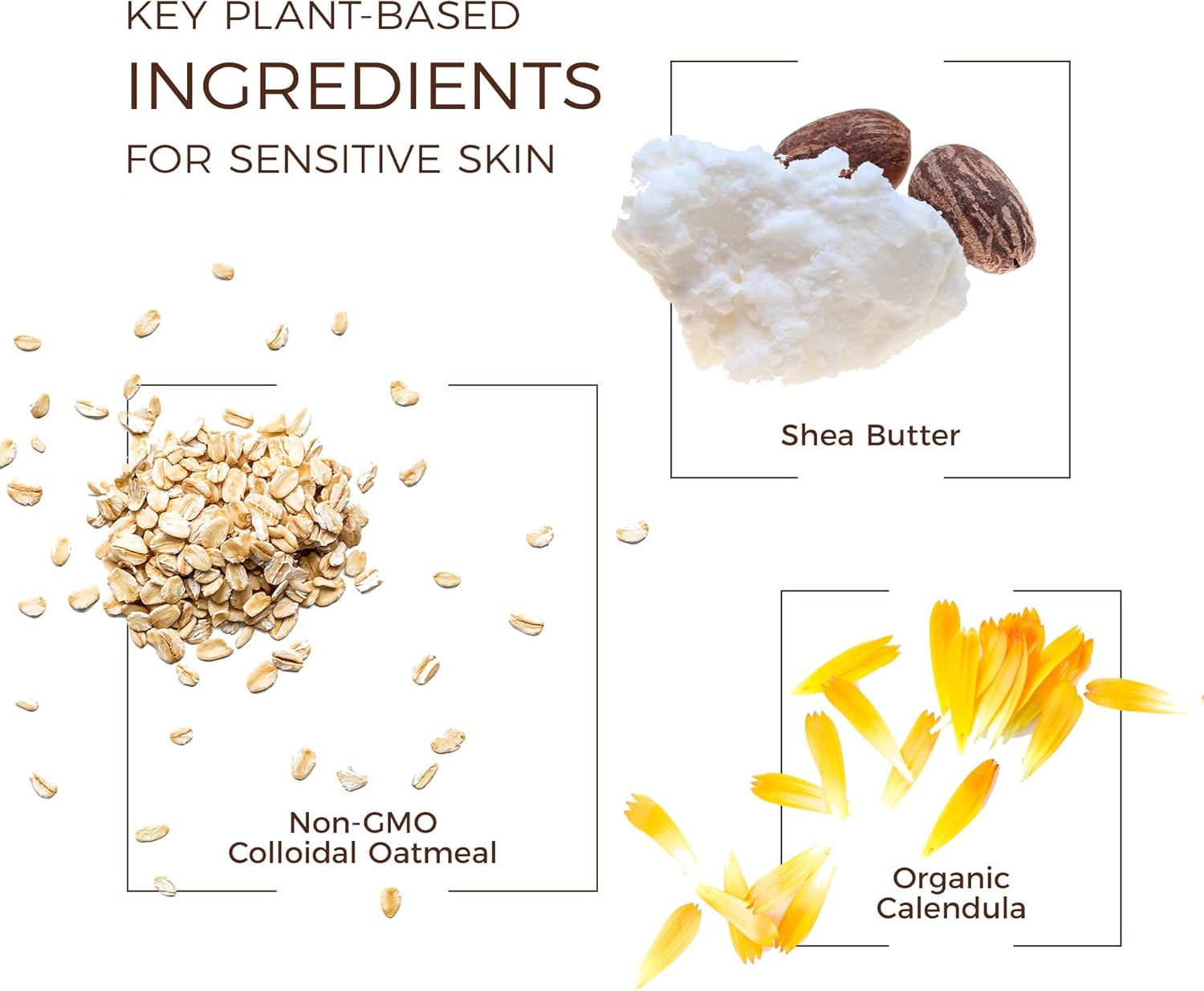 Babo Botanicals Sensitive Baby Fragrance-Free Daily Hydra Lotion - with Colloidal Oatmeal, Shea Butter & Jojoba Oil - EWG Verified, Vegan & Hypoallergenic - 8 fl. oz : Baby