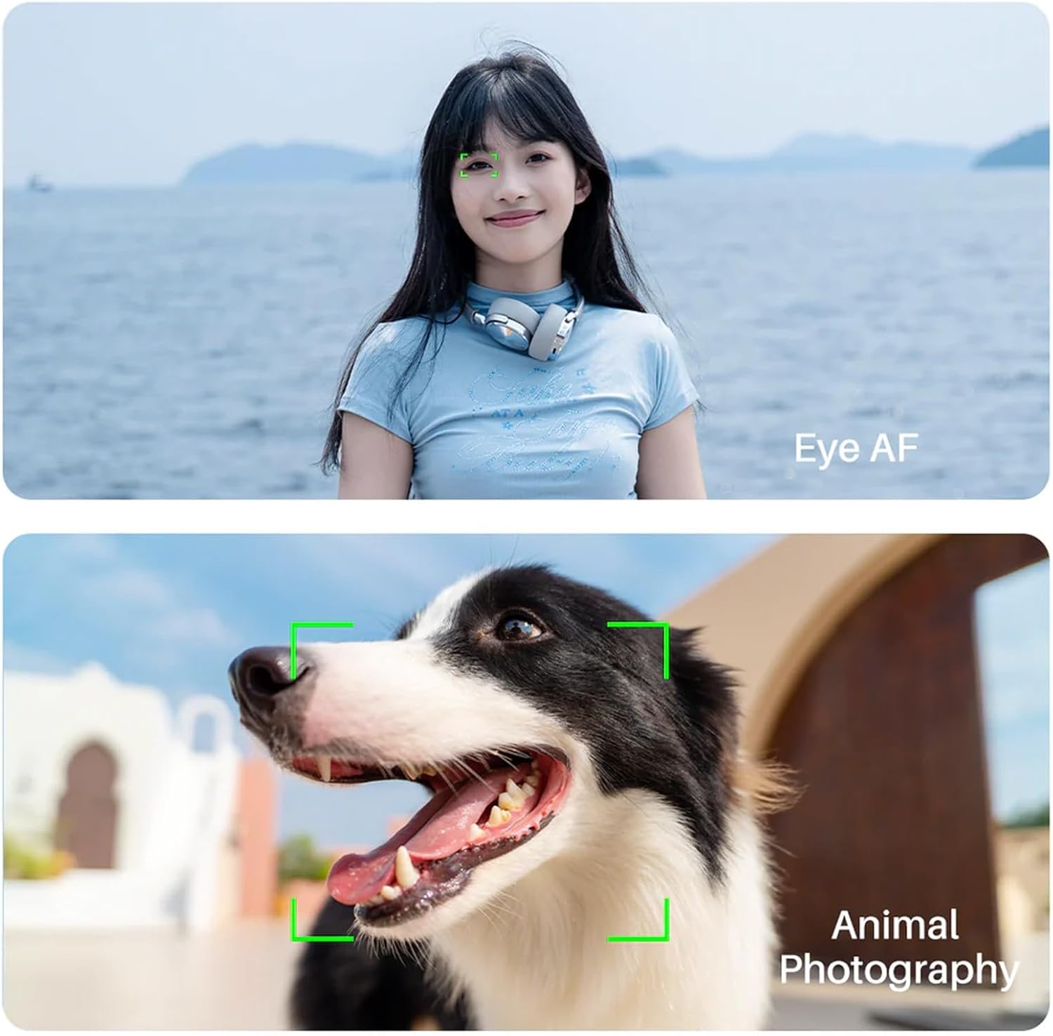 VILTROX 40mm F2.5 f/2.5 FE-Mount Full Frame for Sony, Auto Focus STM Lightweight Prime Lens for Sony E-Mount Cameras A7C A7SIII A7lll A7RIII A7IV A7RIV A9 A1 FX3 A7RV ZVE1 A7CR A7CII A93 A6700 A6600