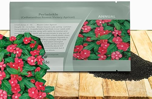 Outsidepride Victory - Semillas de vinca de albaricoque para plantar, 100 unidades, anuales, de floración rápida, tolerantes al calor y a la sequía