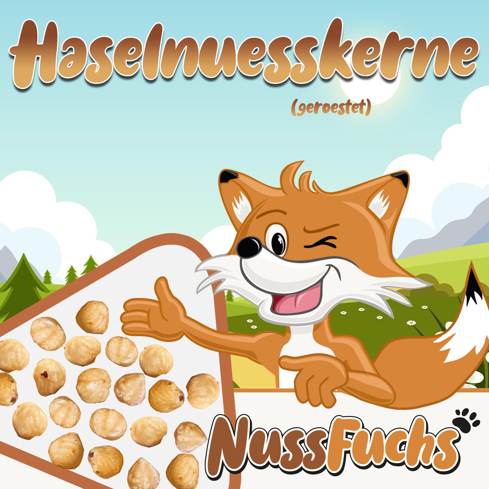 Haselnüsse geröstet 1kg ohne Haut ungesalzen ganz blanchiert NussFuchs