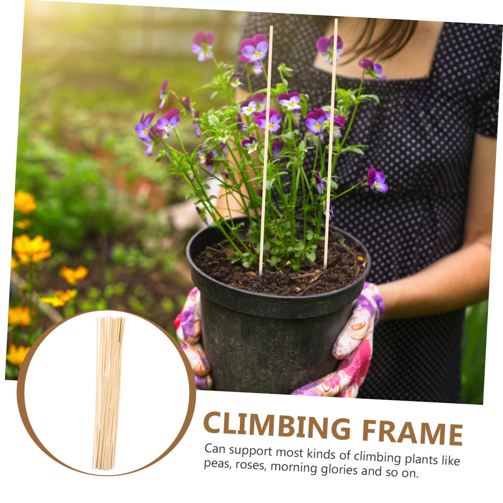 Abaodam 5 Ensembles Piquets pour Plante Grimpante Rester Plante Poteau Escalade Forme Soutien Plantes D'intérieur Enjeux Stand De Plante À L'intérieur Bois 20 Pièces * 5
