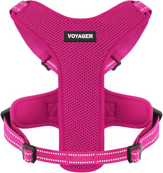 Air Frontier Mesh Dog Harness with Steel Leash D-Ring, Reflective Stitching, and Lightweight Breathable No-Pull Design, Adjustable Neck and Chest Straps for Small to Large Breeds - FSW, S