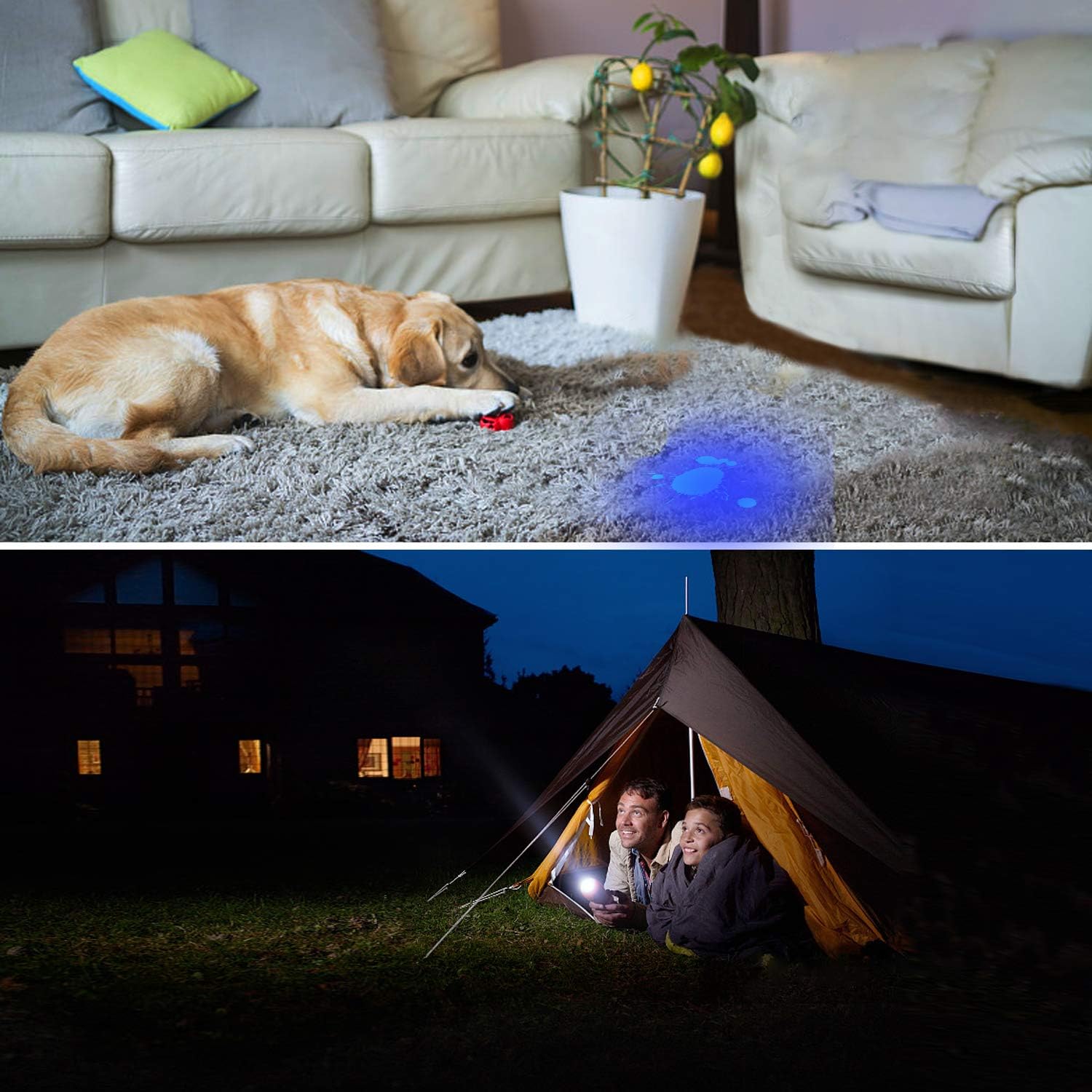 Vansky UV Flashlight Black Light Tactical Flashlight, Handheld Flashlight LED Flashlight for Camping,Reading, Mini Blacklight Urine Detector for Cats,Pet Stains,Bed Bugs,Scorpions