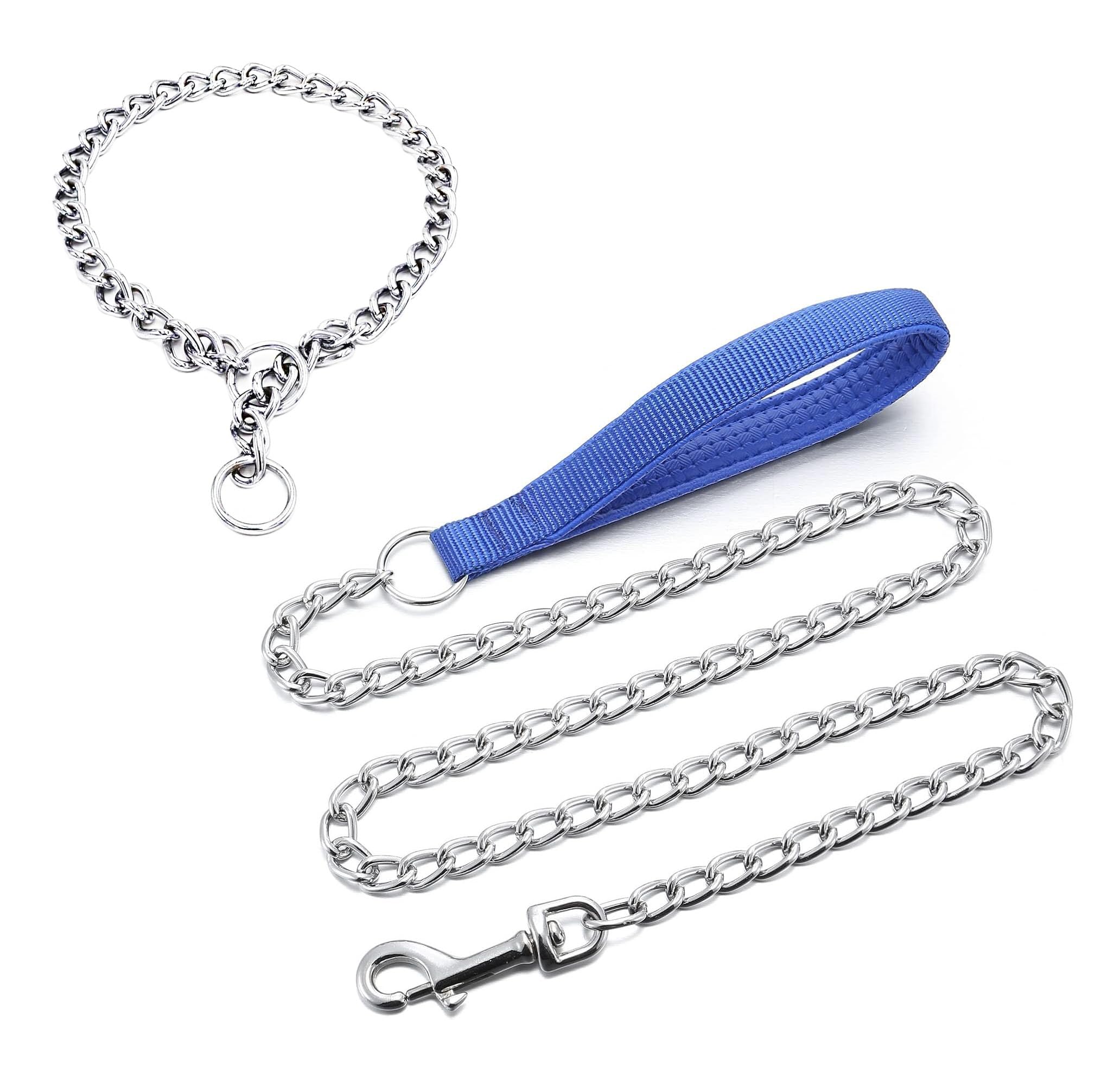 Dog Chain Collar and Leash Set, 14 inch Metal Training Collar with 48 inch Leash, Silver and Blue