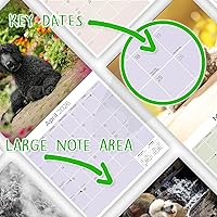 Vista 33 de Razas de Perros 2017