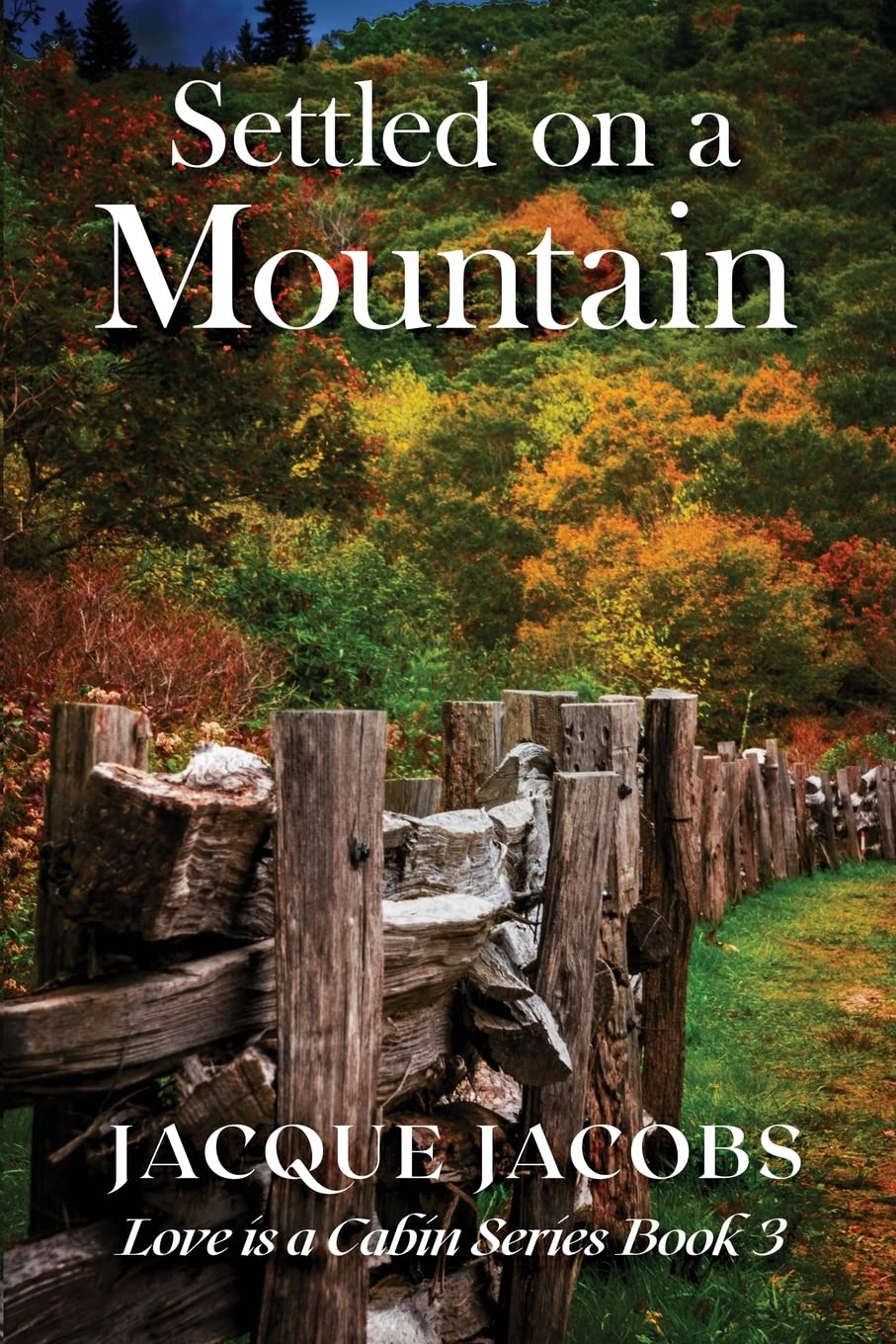 Settled on a Mountain: BOOK3 (Love Is a Cabin)