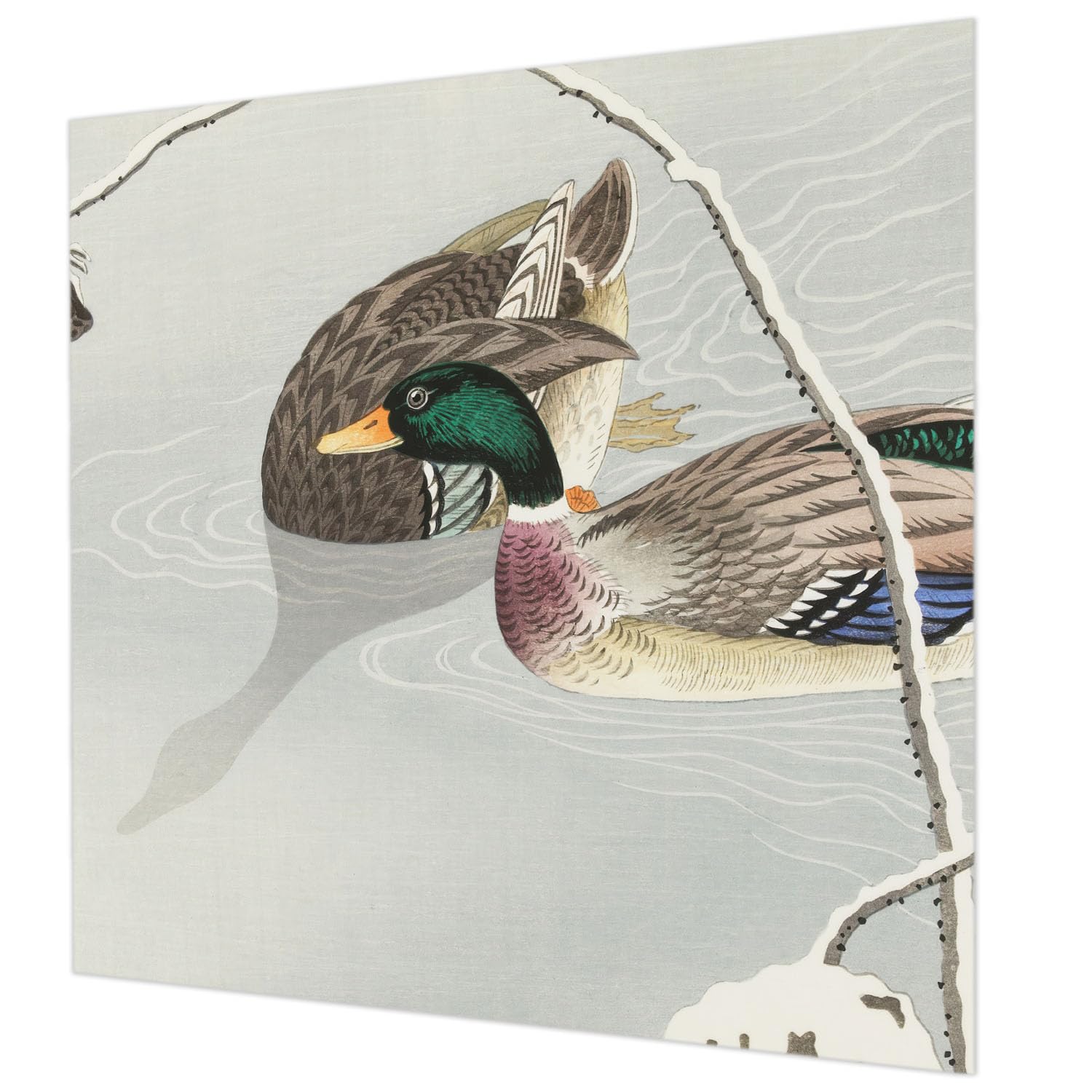 Papier peint canards calmes pour créer une ambiance zen dans votre chambre à coucher