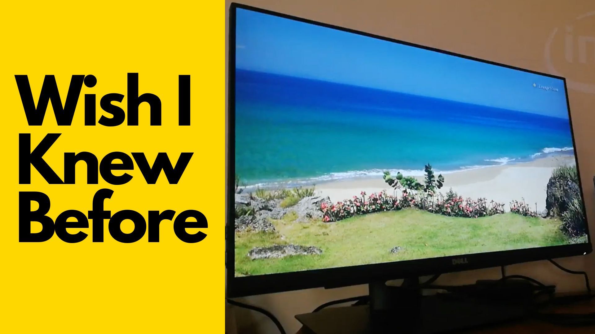 Watch Is it worth it? Dell P2418HT 23.8 Touch Monitor on Amazon Live